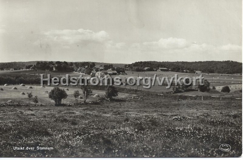 Utsikt over Stannum. Odaterat. Forlag Percy Rippe, Goteborg.jpeg - Utsikt över Stannum.Odaterat.Förlag: Percy Rippe, Göteborg.