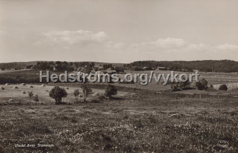 Utsikt over Stannum.Odaterat. Forlag AB Percy Rippe, Goteborg.jpg - Utsikt över Stannum.Odaterat.Förlag: A/B Percy Rippe, Göteborg.