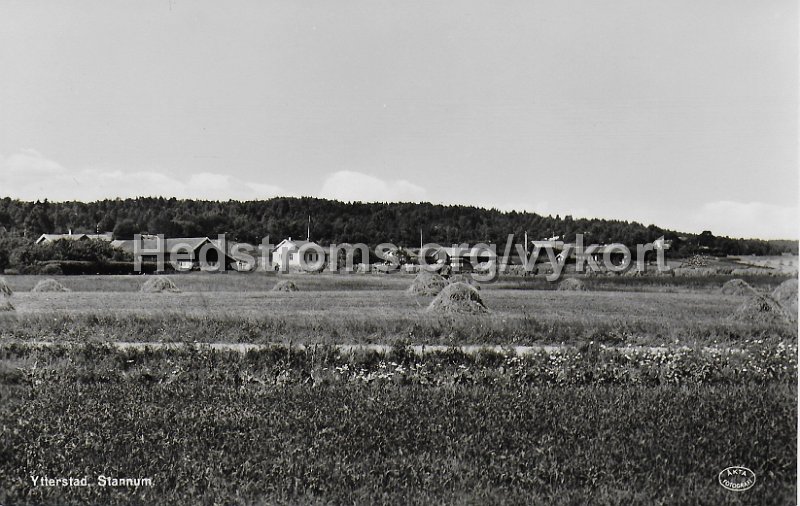 Ytterstad, Stannum. Odaterat. Forlag Percy Rippe, Goteborg.jpeg - Ytterstad, Stannum.Odaterat.Förlag: Percy Rippe, Göteborg.