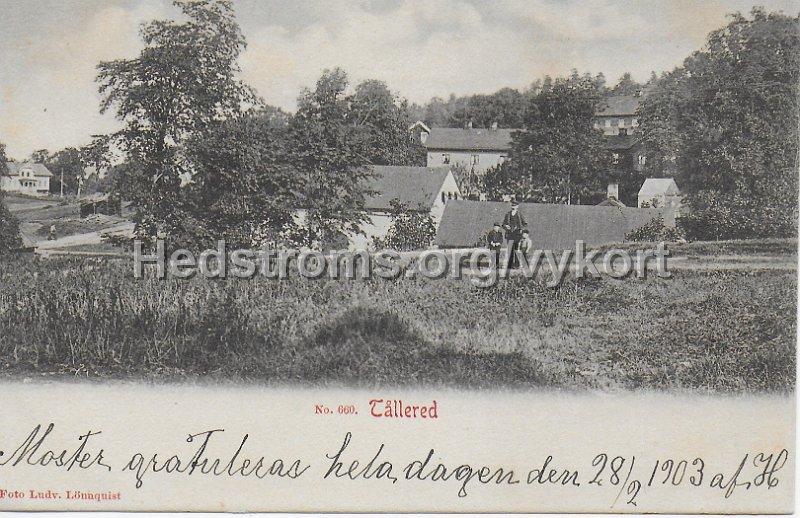 Tallered. 28 februari 1903. Foto Ludv. Lonnqvist.jpeg - Tållered.Daterat 28 februari 1903.Foto Ludv. Lönnqvist.