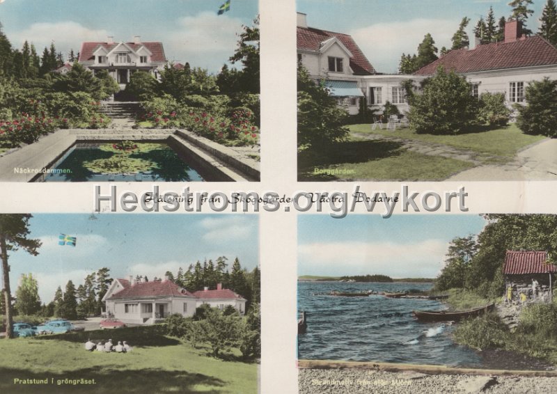 Halsning fran Skogsgarden, Vastra Bodarne.Postganget 21 xxx 1964.jpg - Hälsning från Skogsgården, Västra Bodarne.Postgånget 21 xxx 1964.