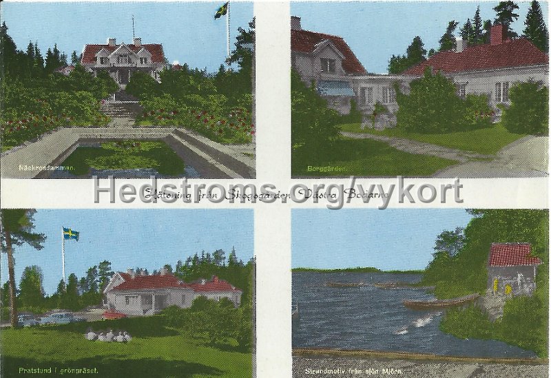 Halsning fran Skogsgardens Vastra Bodarne.jpeg - Hälsning från Skogsgårdens Västra Bodarne.Odaterat.Näckrosdammen., Borggården., Pratstund i gröngräset., Strandmotiv från sjön Mjörn.Förlag_ A/B H. Lindenhag, Göteborg. 8865