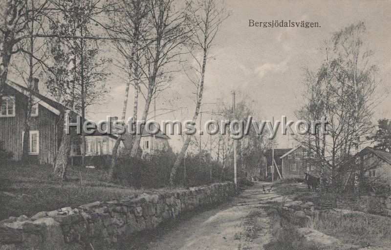 Bergsjodalsvagen. Postganget 11 mars 1925.jpg - Bergsjödalsvägen.Postgånget 11 mars 1925.