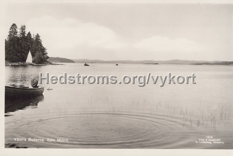 Vastra Bodarna. Sjon Mjorn. Odaterat. Forlag Claes Nygren, Va Bodarna. Foto ensamratt H. Lindenhag, Goteborg.jpg - Västra Bodarna. Sjön Mjörn.Odaterat.Förlag: Claes Nygren, V:a Bodarna.Foto & ensamrätt: H. Lindenhag, Göteborg.