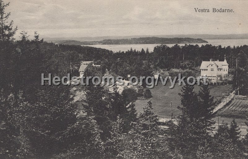 Vestra Bodarne. Postganget 10 augusti 1918. Karin Moller Fotografiatelier, Alingsas.jpg - Vestra Bodarne.Postgånget 10 augusti 1918.Karin Möller Fotografiatelier, Alingsås.