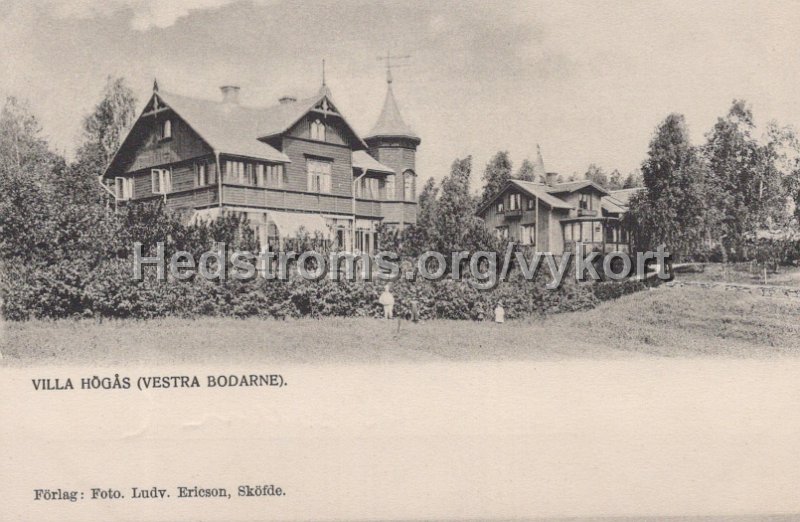 Villa Hogas (Vestra Bodarne). Odaterat. Forlag  Foto. Ludv. Ericson, Skofde.jpg - Villa Högås (Vestra Bodarne).Odaterat.Förlag: Foto. Ludv. Ericson, Sköfde.