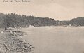 Parti fran Vestra Bodarne. Postganget 23 juli 1908
