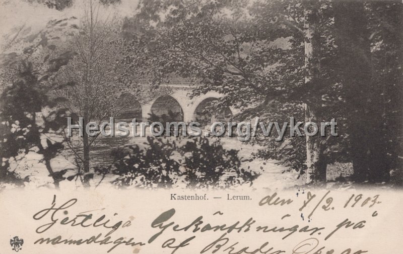 Kasetnhof. - Lerum. Postganget 7 februari 1903. LeMoine Malmestrom.jpg - Kastenhof. - Lerum.Postgånget 7 februari 1903.LeMoine & Malmeström.