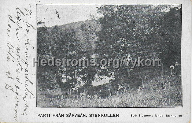 Parti fran Savean, Stenkullen. Postganget 23 juli 1919. Seth Sjostroms forlag, Stenkullen.jpeg - Parti från Säfveån, Stenkullen.Postgånget 23 juli 1919.Seth Sjöströms förlag, Stenkullen.