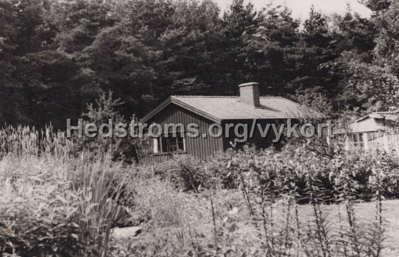 Starkens handelstradgard Regnbagen. Postganget 18 januari 1967. Leonar.jpg - Stärkens handelsträdgård Regnbågen.Postgånget 18 januari 1967.Leonar.