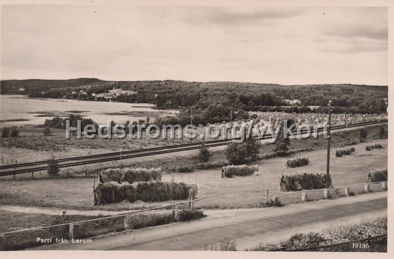 Parti fran Lerum. Odaterat. Pressbyran 19195.jpg - Parti från Lerum.Odaterat.Pressbyrån 19195.