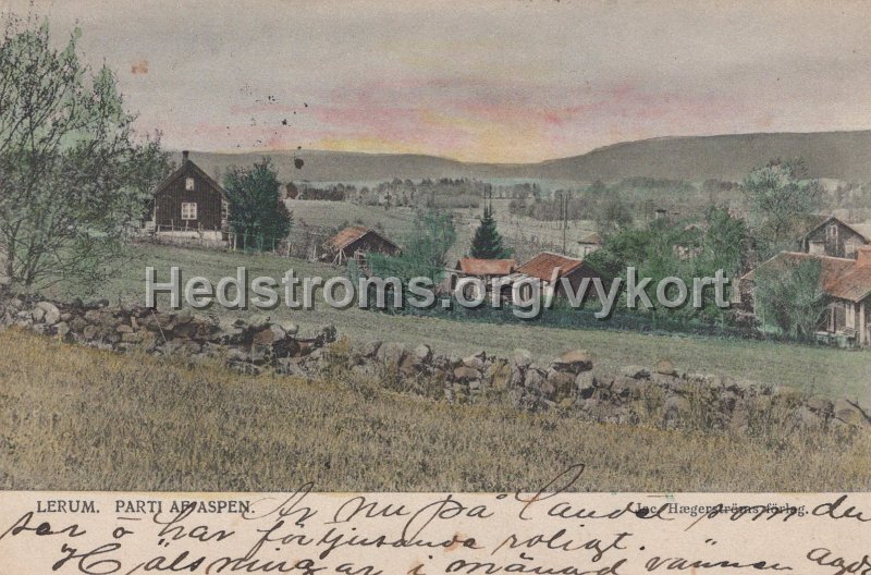 Lerum. Parti av Aspen. Postganget 3 augusti 1905. Jac. Hægerstroms forlag.jpg - Lerum. Parti av Aspen.Postgånget 3 augusti 1905.Jac. Hægerströms förlag.