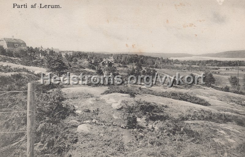 Parti af Lerum. Postganget 21 augusti 1903. Forlag Jac. Hægerstrom, Lerum.jpg - Parti af Lerum.Postgånget 21 augusti 1903.Förlag: Jac. Hægerström, Lerum.