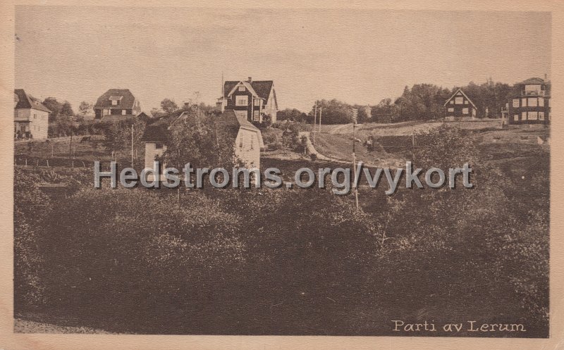 Parti av Lerum. Postganget 9 juni 1920. Carl Brobacks forlag.jpg - Parti av Lerum.Postgånget 9 juni 1920.Carl Brobäcks förlag.