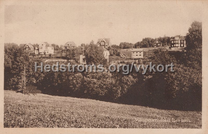 Villaparti fran Lerum. Odaterat. Foto  forlag  C.A. Traff.jpg - Villaparti från Lerum.Odaterat.Foto & förlag: C.A. Träff.