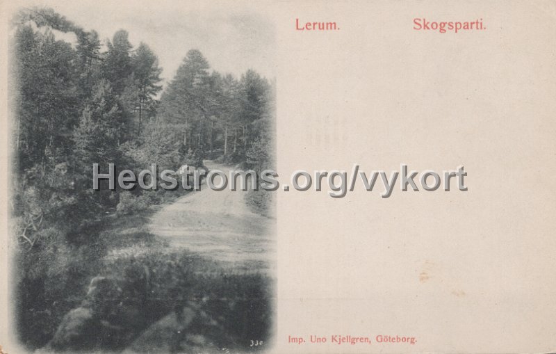 Lerum. Skogsparti. Odaterat. Imp. Uno Kjellgren, Goteborg.jpg - Lerum. Skogsparti.Odaterat.Imp. Uno Kjellgren, Göteborg.