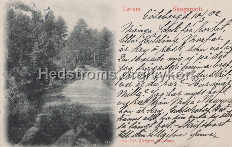 Lerum. Skogsparti. Postganget 10 mars 1903. Imp. Uno Kjellgren, Goteborg.jpg - Lerum. Skogsparti.Postgånget 10 mars 1903.Imp. Uno Kjellgren, Göteborg.