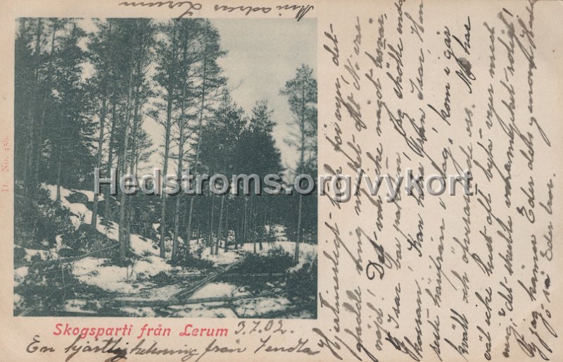 Skogsparti fran Lerum. Postganget 3 juli 1902.jpg - Skogsparti från Lerum.Postgånget 3 juli 1902.